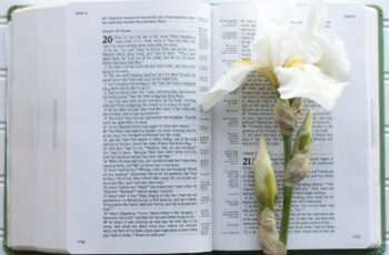 Bible Open With A Lily Laying On The Page