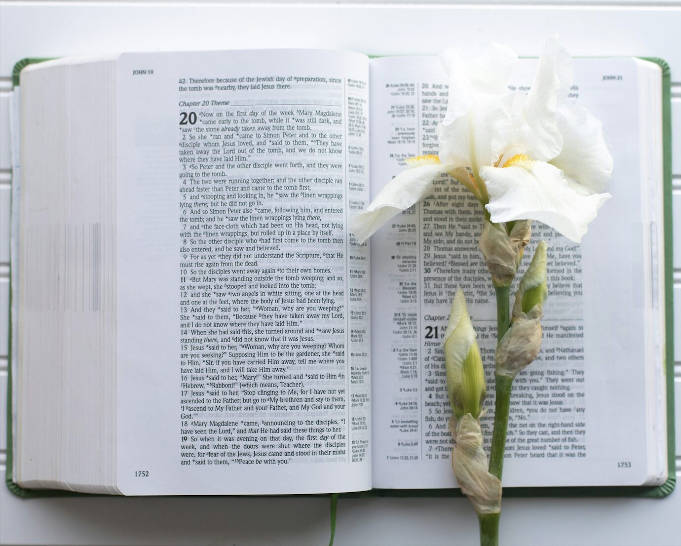 Bible open with a lily laying on the page